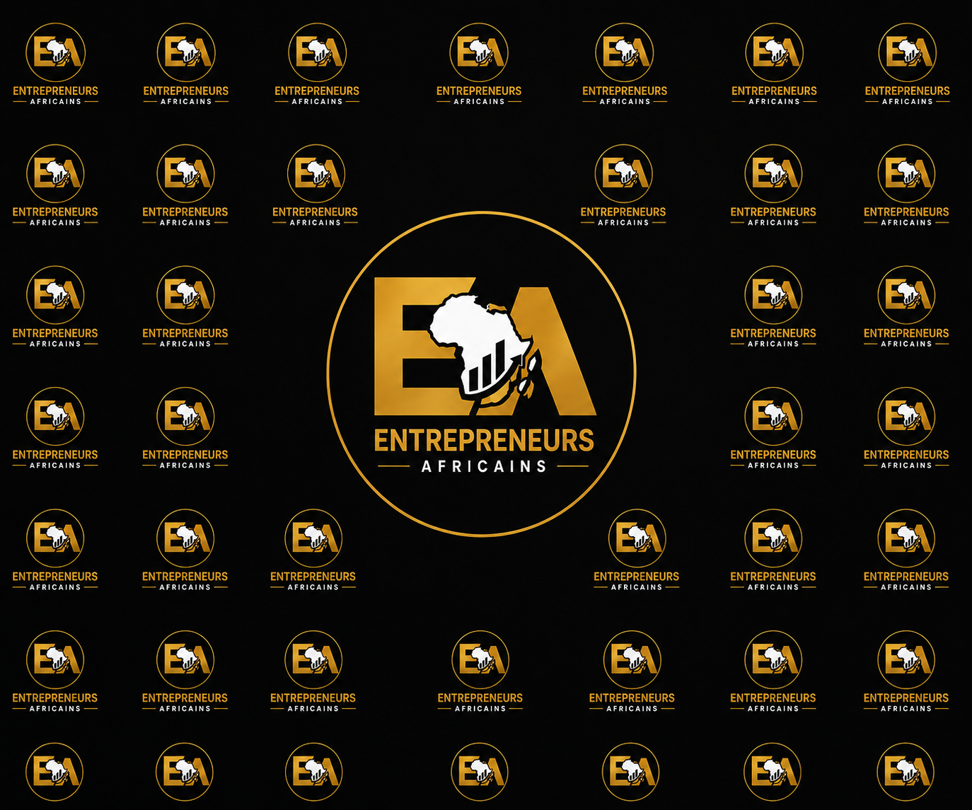 Galerie de Entrepreneurs Africains