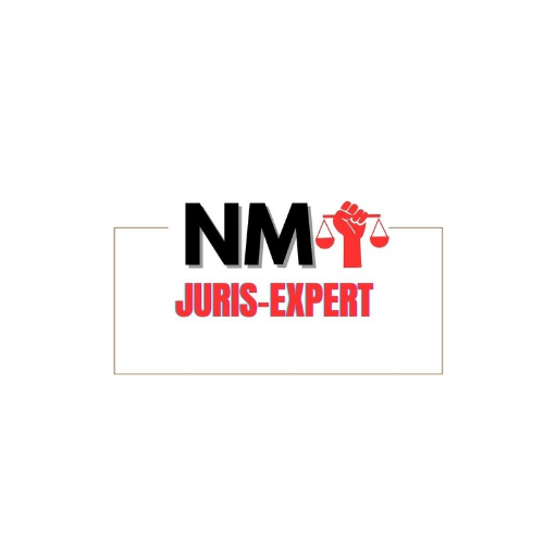 Logo de Cabinet NM JURIS-EXPERT